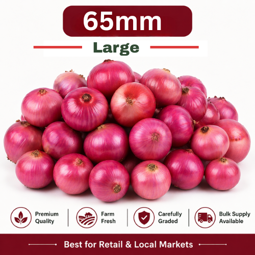 65mm Onion